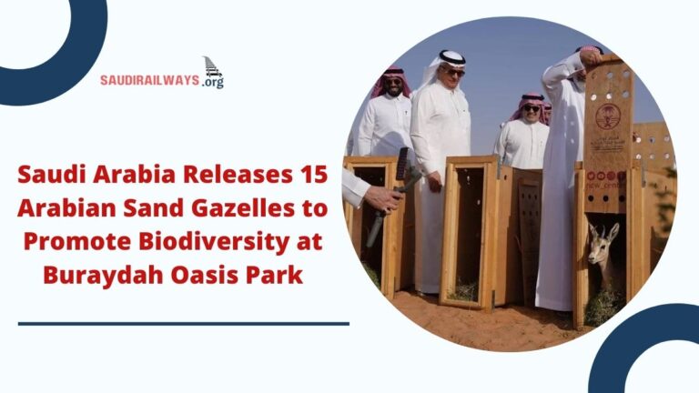 Saudi Arabia Releases 15 Arabian Sand Gazelles to Promote Biodiversity at Buraydah Oasis Park