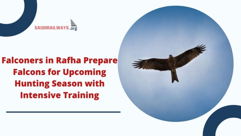 Falconers in Rafha Prepare Falcons for Upcoming Hunting Season with Intensive Training