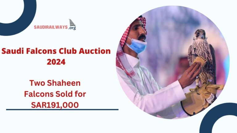 Saudi Falcons Club Auction 2024: Two Shaheen Falcons Sold for SAR191,000